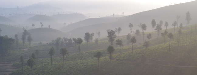 Hilly-Town-of-Valparai